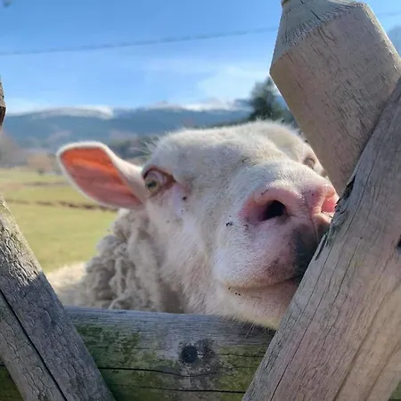 דירה Pod Snieznymi Kotlami *