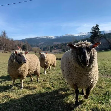 Pod Snieznymi Kotlami * Piechowice (Karkonosze)