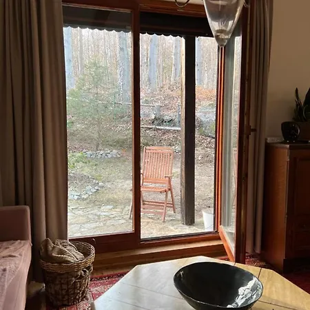 Pod Snieznymi Kotlami *