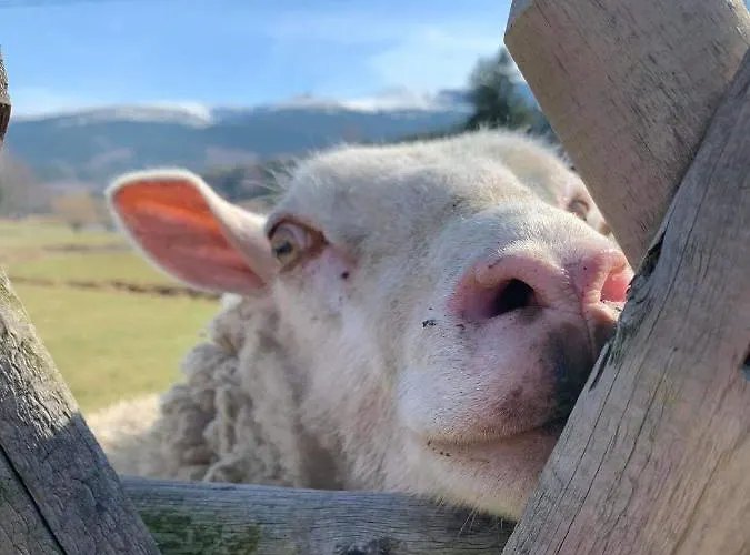 Apartment Pod Snieznymi Kotlami *