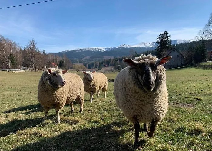 Pod Snieznymi Kotlami * Piechowice (Karkonosze)