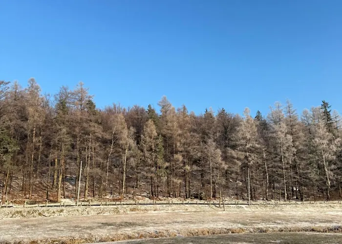 Apartament Pod śnieżnymi Kotłami Piechowice (Karkonosze)